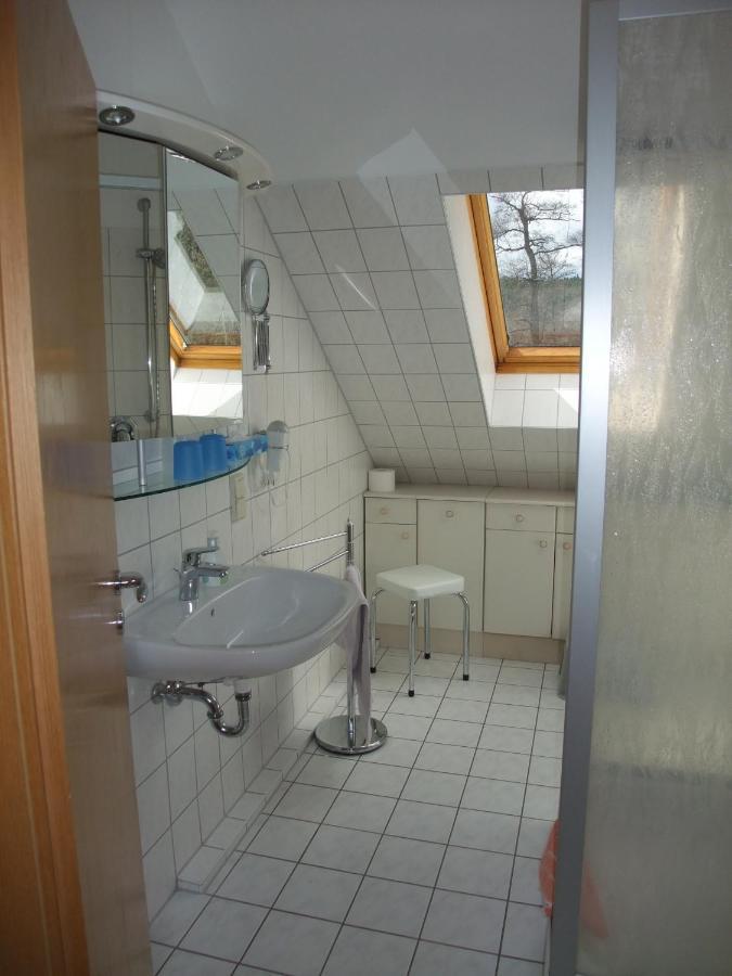 Ferienhaus Hubertus In Elend Mit Balkons 外观 照片