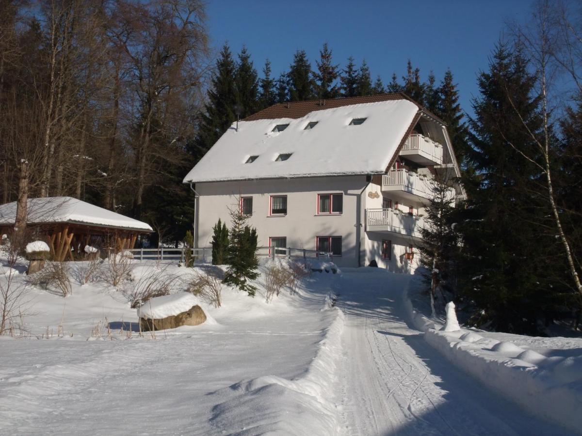 Ferienhaus Hubertus In Elend Mit Balkons 外观 照片