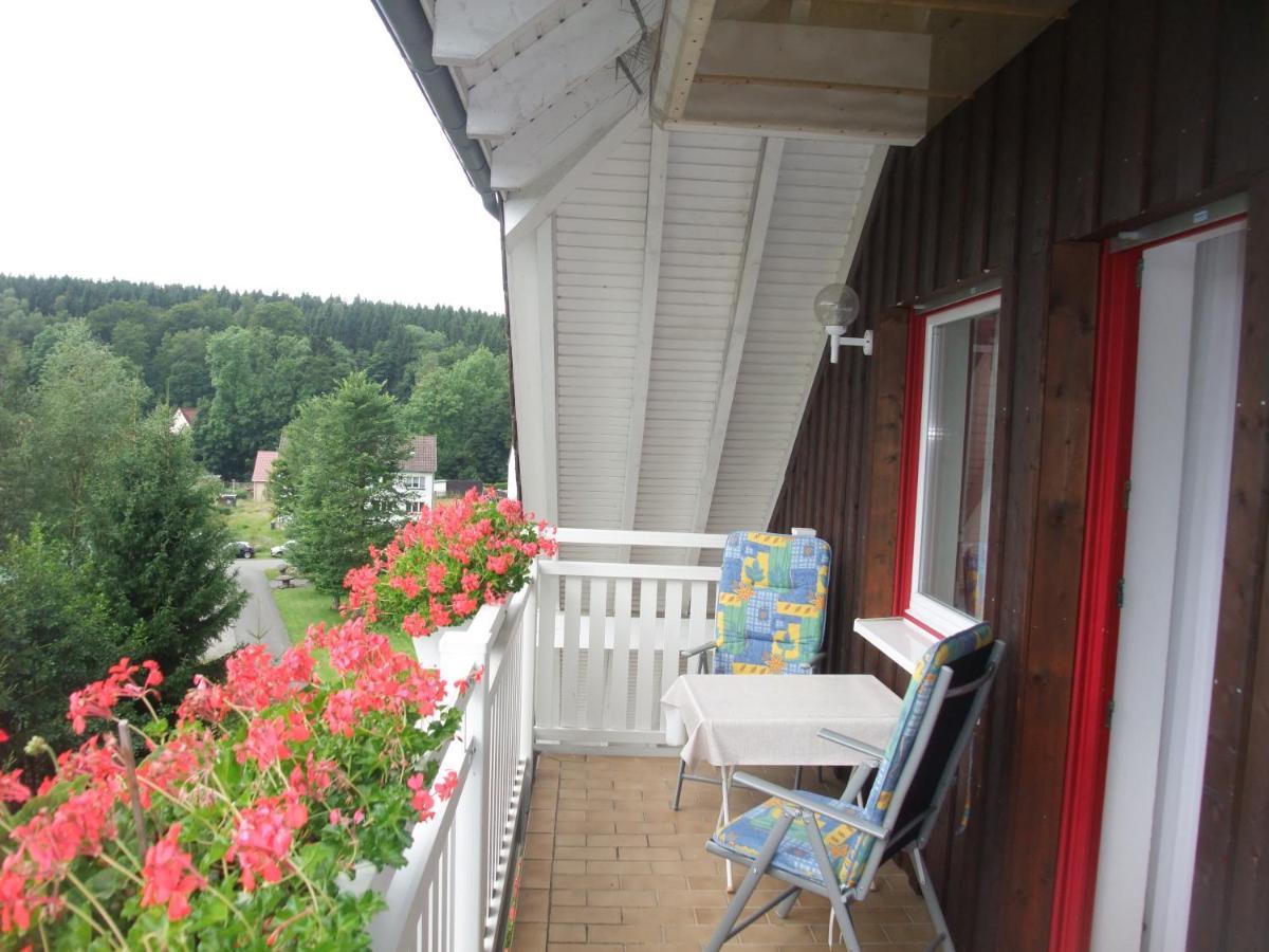 Ferienhaus Hubertus In Elend Mit Balkons 外观 照片